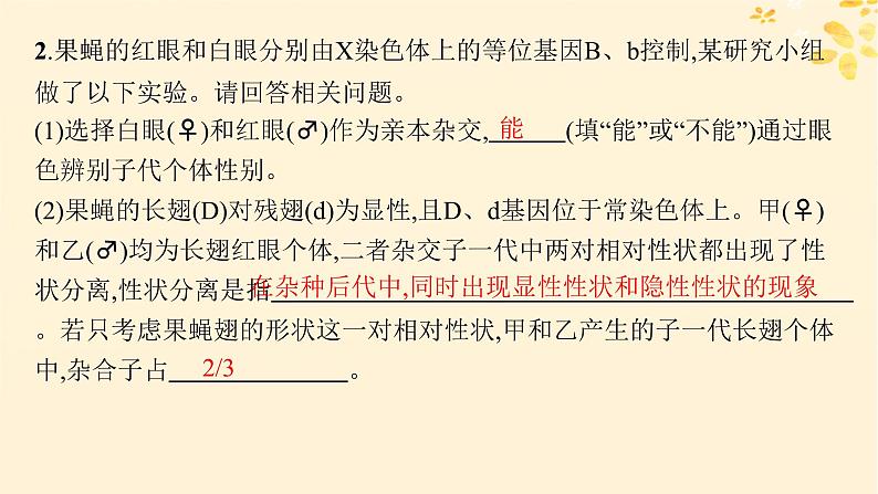 备战2025届新高考生物一轮总复习第5单元孟德尔遗传定律与伴性遗传专题精研课7探究基因在染色体上的位置课件06