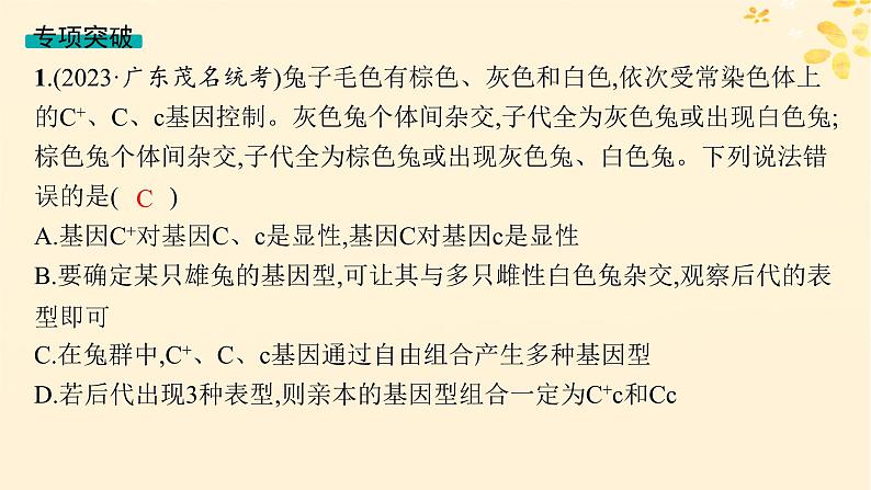 备战2025届新高考生物一轮总复习第5单元孟德尔遗传定律与伴性遗传专题精研课5分离定律遗传特例应用课件03