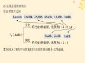 备战2025届新高考生物一轮总复习第5单元孟德尔遗传定律与伴性遗传专题精研课6自由组合定律中的特殊比例课件