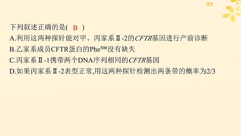 备战2025届新高考生物一轮总复习第5单元孟德尔遗传定律与伴性遗传情境突破课4遗传系谱图与电泳图谱课件第5页