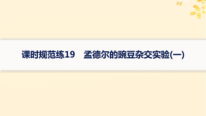 备战2025届新高考生物一轮总复习第5单元孟德尔遗传定律与伴性遗传课时规范练19孟德尔的豌豆杂交实验一课件01