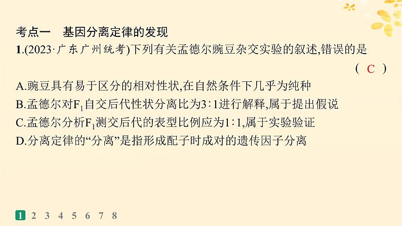 备战2025届新高考生物一轮总复习第5单元孟德尔遗传定律与伴性遗传课时规范练19孟德尔的豌豆杂交实验一课件03