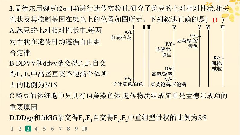 备战2025届新高考生物一轮总复习第5单元孟德尔遗传定律与伴性遗传课时规范练20孟德尔的豌豆杂交实验二课件第7页