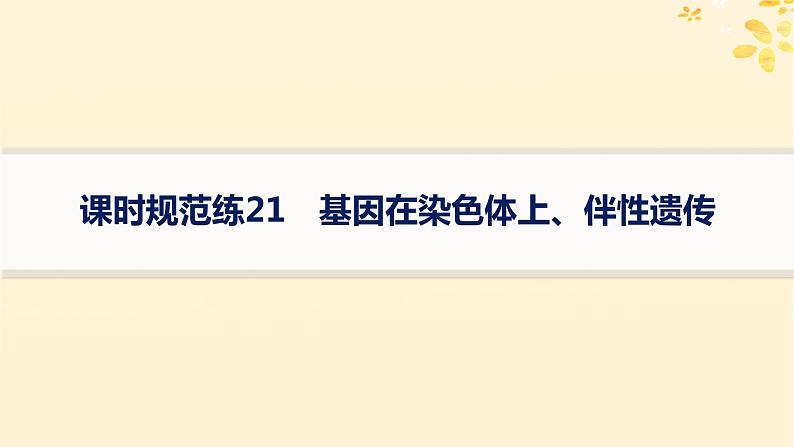 备战2025届新高考生物一轮总复习第5单元孟德尔遗传定律与伴性遗传课时规范练21基因在染色体上伴性遗传课件第1页