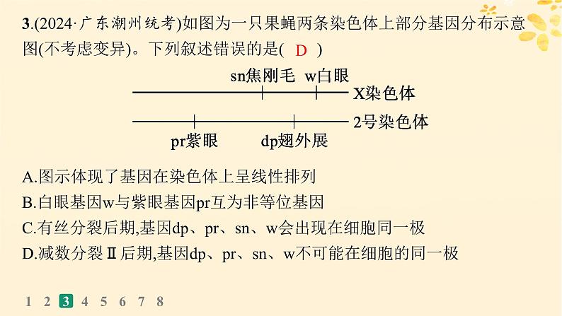 备战2025届新高考生物一轮总复习第5单元孟德尔遗传定律与伴性遗传课时规范练21基因在染色体上伴性遗传课件第7页