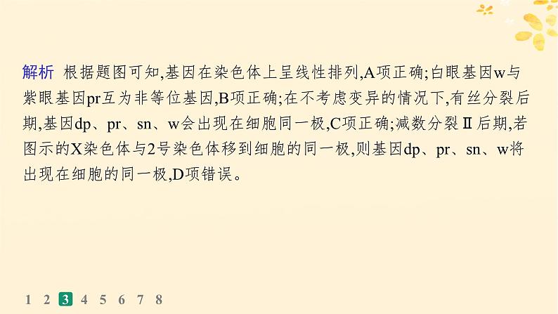 备战2025届新高考生物一轮总复习第5单元孟德尔遗传定律与伴性遗传课时规范练21基因在染色体上伴性遗传课件第8页