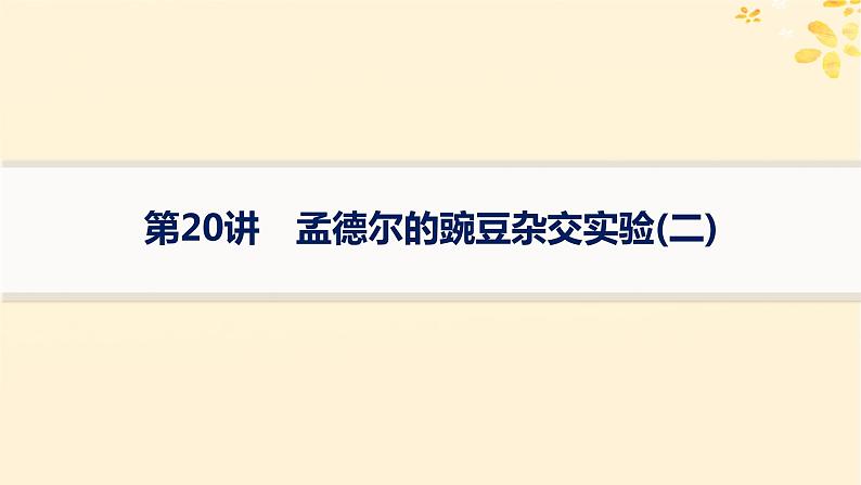 备战2025届新高考生物一轮总复习第5单元孟德尔遗传定律与伴性遗传第20讲孟德尔的豌豆杂交实验二课件第1页