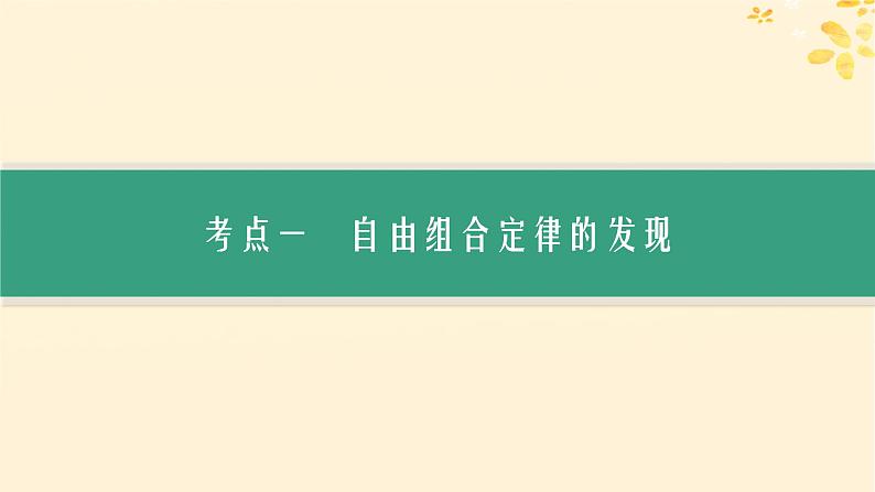 备战2025届新高考生物一轮总复习第5单元孟德尔遗传定律与伴性遗传第20讲孟德尔的豌豆杂交实验二课件第3页