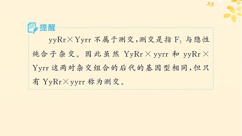 备战2025届新高考生物一轮总复习第5单元孟德尔遗传定律与伴性遗传第20讲孟德尔的豌豆杂交实验二课件第7页