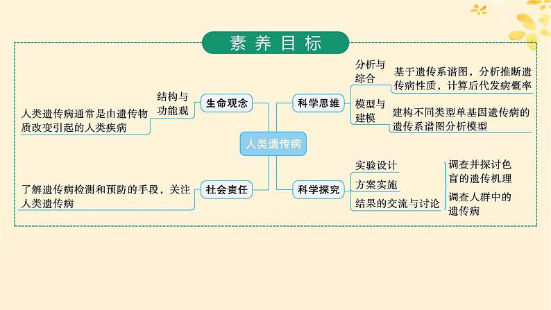 备战2025届新高考生物一轮总复习第5单元孟德尔遗传定律与伴性遗传第22讲人类遗传病课件02