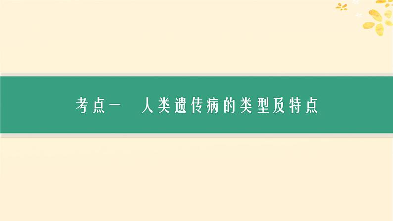 备战2025届新高考生物一轮总复习第5单元孟德尔遗传定律与伴性遗传第22讲人类遗传病课件03