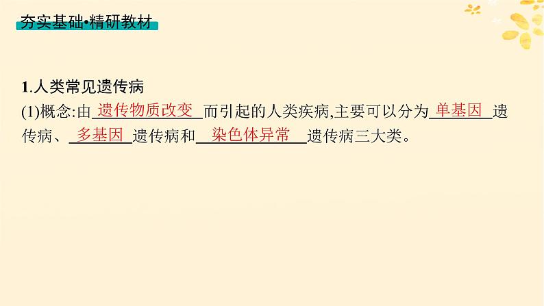 备战2025届新高考生物一轮总复习第5单元孟德尔遗传定律与伴性遗传第22讲人类遗传病课件04