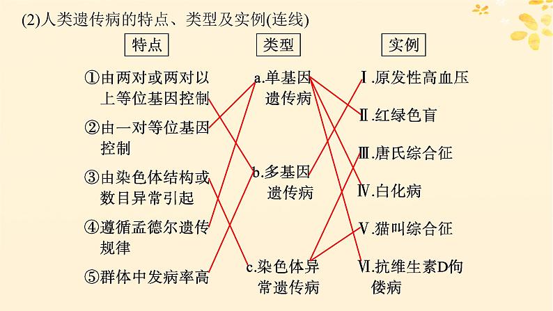 备战2025届新高考生物一轮总复习第5单元孟德尔遗传定律与伴性遗传第22讲人类遗传病课件05