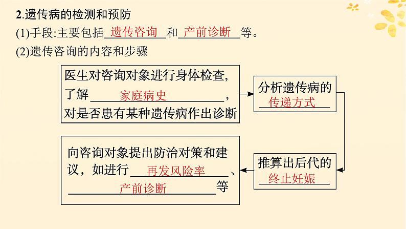 备战2025届新高考生物一轮总复习第5单元孟德尔遗传定律与伴性遗传第22讲人类遗传病课件07