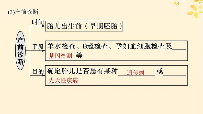 备战2025届新高考生物一轮总复习第5单元孟德尔遗传定律与伴性遗传第22讲人类遗传病课件08