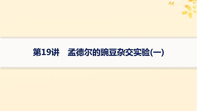 备战2025届新高考生物一轮总复习第5单元孟德尔遗传定律与伴性遗传第19讲孟德尔的豌豆杂交实验一课件第1页