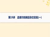 备战2025届新高考生物一轮总复习第5单元孟德尔遗传定律与伴性遗传第19讲孟德尔的豌豆杂交实验一课件