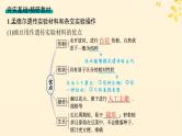 备战2025届新高考生物一轮总复习第5单元孟德尔遗传定律与伴性遗传第19讲孟德尔的豌豆杂交实验一课件