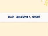 备战2025届新高考生物一轮总复习第5单元孟德尔遗传定律与伴性遗传第21讲基因在染色体上伴性遗传课件