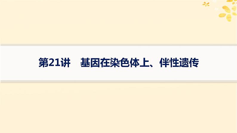 备战2025届新高考生物一轮总复习第5单元孟德尔遗传定律与伴性遗传第21讲基因在染色体上伴性遗传课件第1页