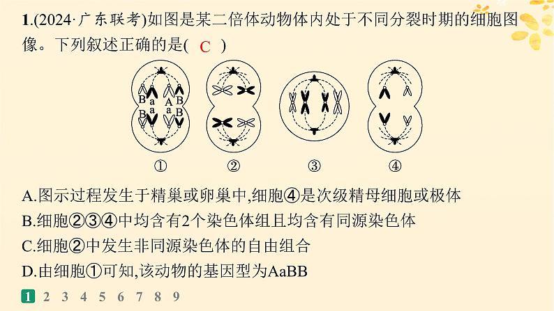 备战2025届新高考生物一轮总复习第4单元细胞的生命历程专题练1减数分裂与有丝分裂的比较课件02