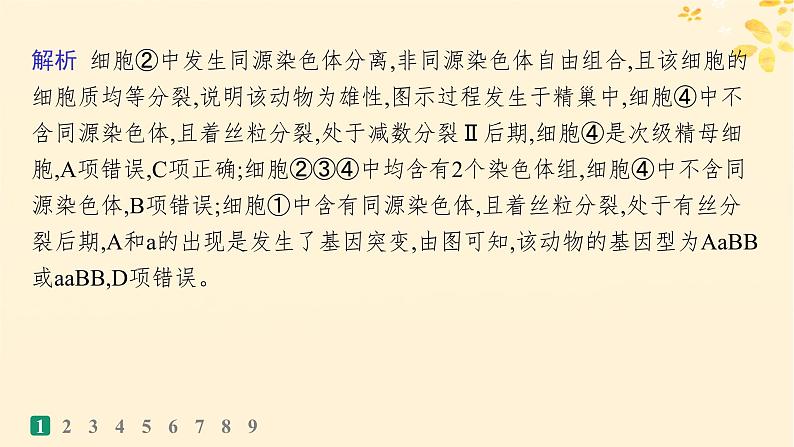 备战2025届新高考生物一轮总复习第4单元细胞的生命历程专题练1减数分裂与有丝分裂的比较课件03