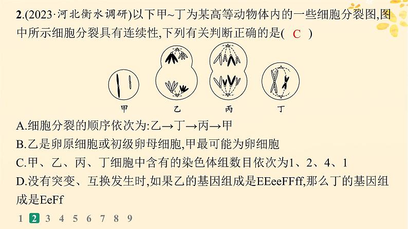 备战2025届新高考生物一轮总复习第4单元细胞的生命历程专题练1减数分裂与有丝分裂的比较课件04