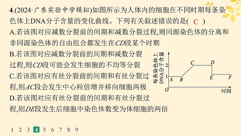 备战2025届新高考生物一轮总复习第4单元细胞的生命历程专题练1减数分裂与有丝分裂的比较课件08