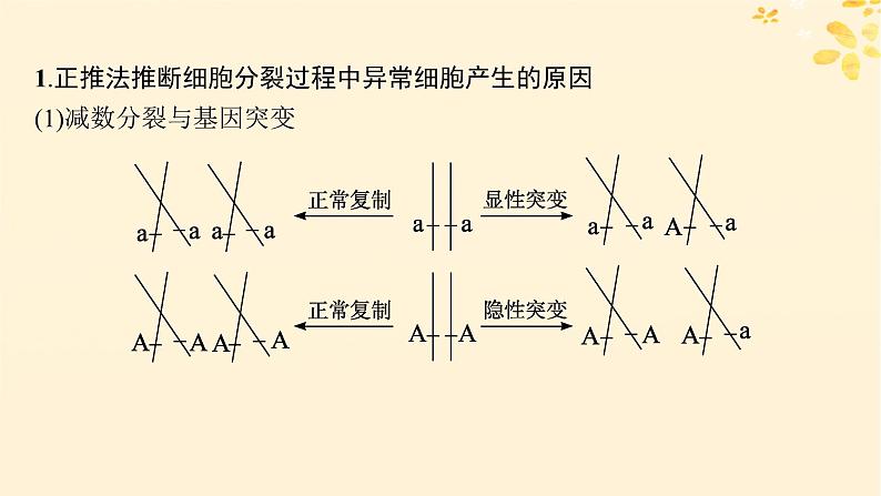 备战2025届新高考生物一轮总复习第4单元细胞的生命历程专题精研课4减数分裂与可遗传变异的关系课件第2页