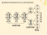 备战2025届新高考生物一轮总复习第4单元细胞的生命历程专题精研课4减数分裂与可遗传变异的关系课件