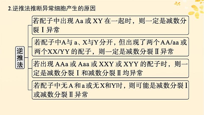 备战2025届新高考生物一轮总复习第4单元细胞的生命历程专题精研课4减数分裂与可遗传变异的关系课件第7页