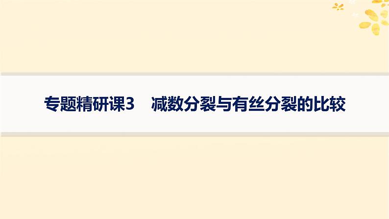 备战2025届新高考生物一轮总复习第4单元细胞的生命历程专题精研课3减数分裂与有丝分裂的比较课件01