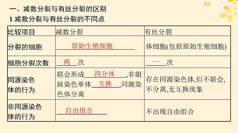 备战2025届新高考生物一轮总复习第4单元细胞的生命历程专题精研课3减数分裂与有丝分裂的比较课件02