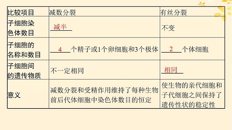 备战2025届新高考生物一轮总复习第4单元细胞的生命历程专题精研课3减数分裂与有丝分裂的比较课件03