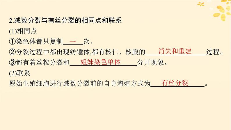 备战2025届新高考生物一轮总复习第4单元细胞的生命历程专题精研课3减数分裂与有丝分裂的比较课件04