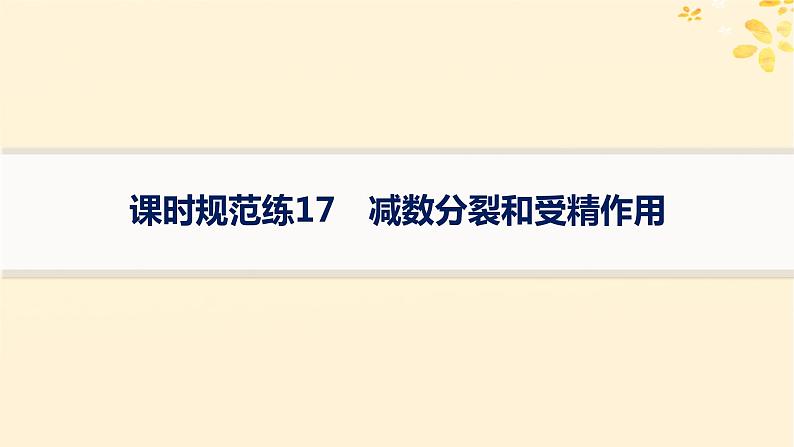 备战2025届新高考生物一轮总复习第4单元细胞的生命历程课时规范练17减数分裂和受精作用课件01