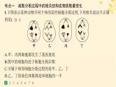 备战2025届新高考生物一轮总复习第4单元细胞的生命历程课时规范练17减数分裂和受精作用课件