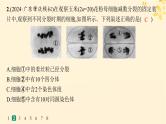 备战2025届新高考生物一轮总复习第4单元细胞的生命历程课时规范练17减数分裂和受精作用课件