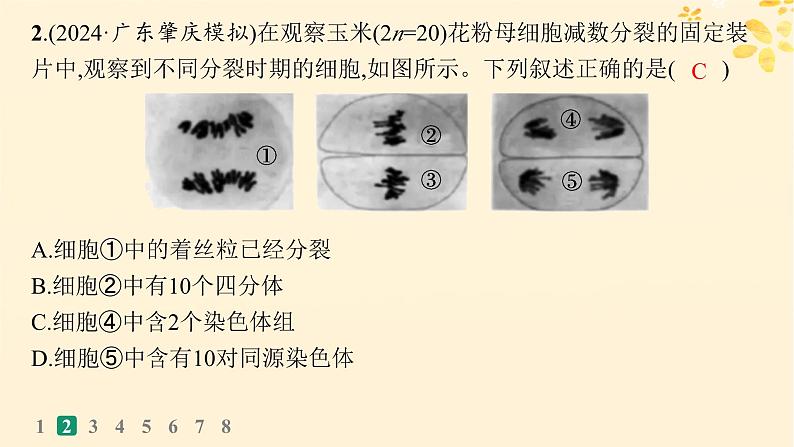 备战2025届新高考生物一轮总复习第4单元细胞的生命历程课时规范练17减数分裂和受精作用课件05