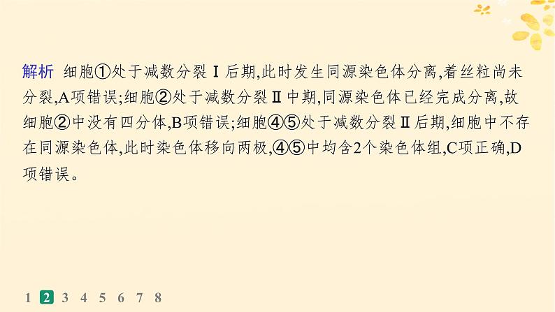 备战2025届新高考生物一轮总复习第4单元细胞的生命历程课时规范练17减数分裂和受精作用课件06