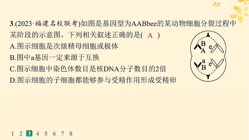 备战2025届新高考生物一轮总复习第4单元细胞的生命历程课时规范练17减数分裂和受精作用课件07