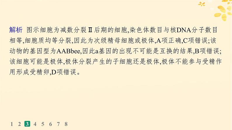 备战2025届新高考生物一轮总复习第4单元细胞的生命历程课时规范练17减数分裂和受精作用课件08