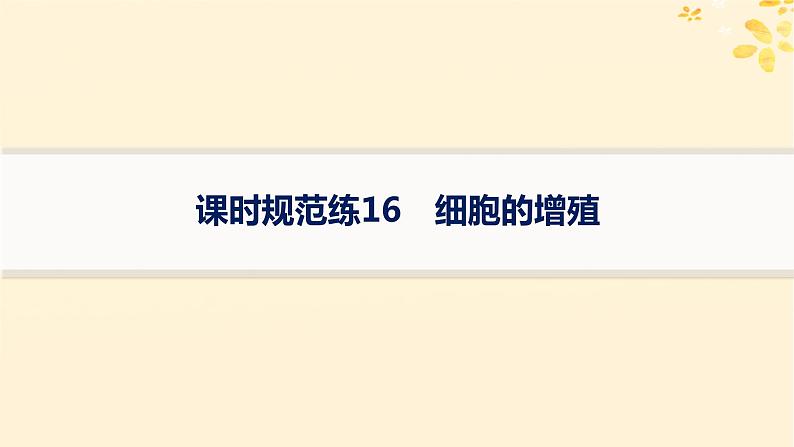 备战2025届新高考生物一轮总复习第4单元细胞的生命历程课时规范练16细胞的增殖课件01