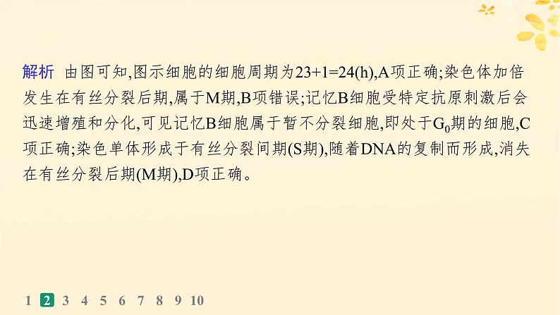 备战2025届新高考生物一轮总复习第4单元细胞的生命历程课时规范练16细胞的增殖课件06