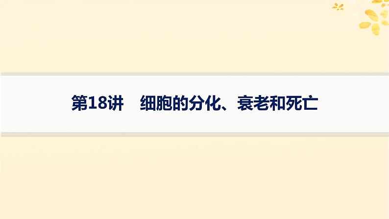 备战2025届新高考生物一轮总复习第4单元细胞的生命历程第18讲细胞的分化衰老和死亡课件01