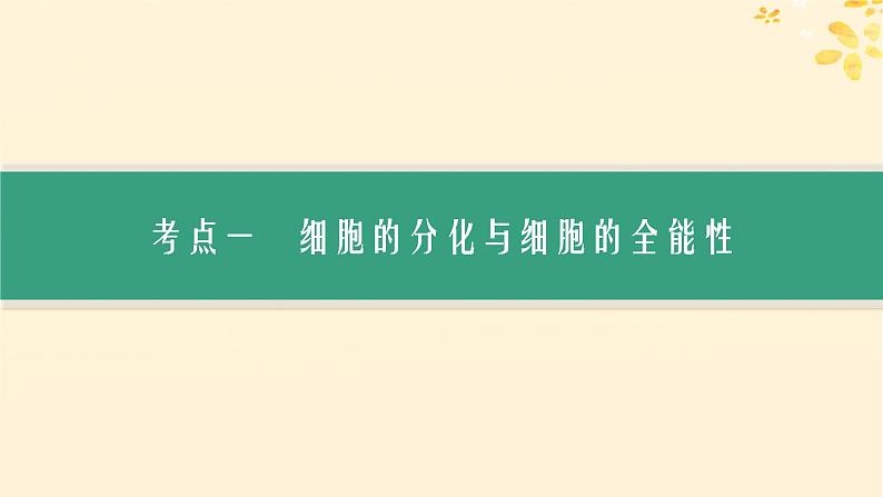 备战2025届新高考生物一轮总复习第4单元细胞的生命历程第18讲细胞的分化衰老和死亡课件03