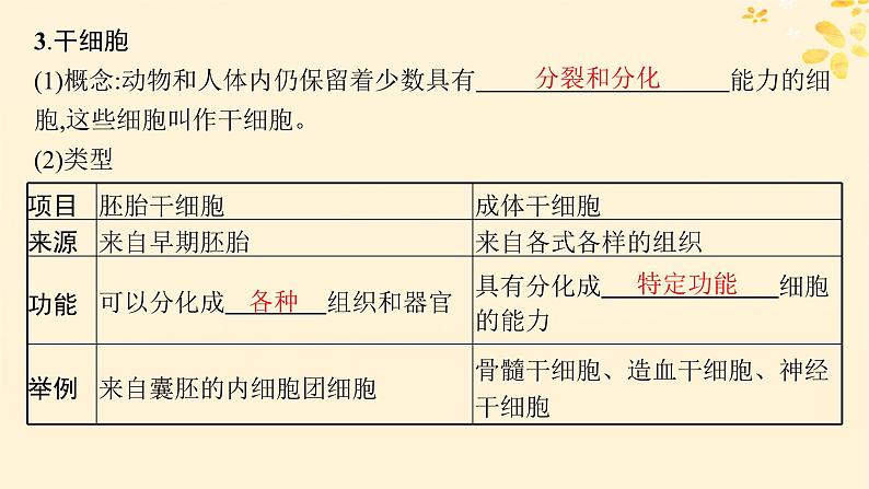 备战2025届新高考生物一轮总复习第4单元细胞的生命历程第18讲细胞的分化衰老和死亡课件06