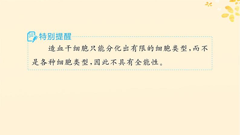 备战2025届新高考生物一轮总复习第4单元细胞的生命历程第18讲细胞的分化衰老和死亡课件07