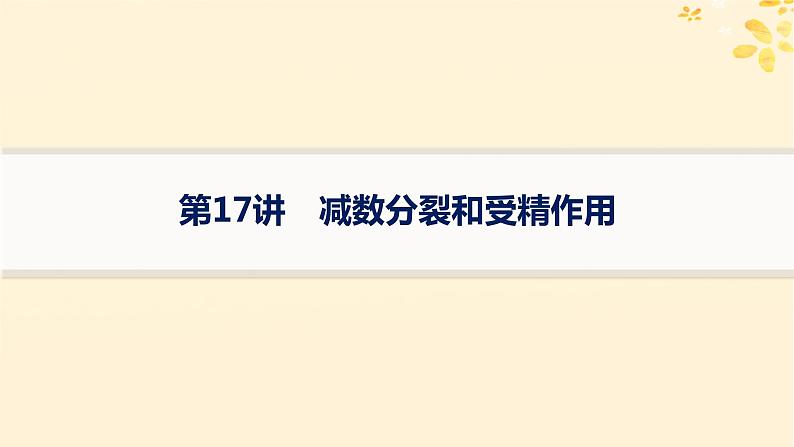 备战2025届新高考生物一轮总复习第4单元细胞的生命历程第17讲减数分裂和受精作用课件第1页