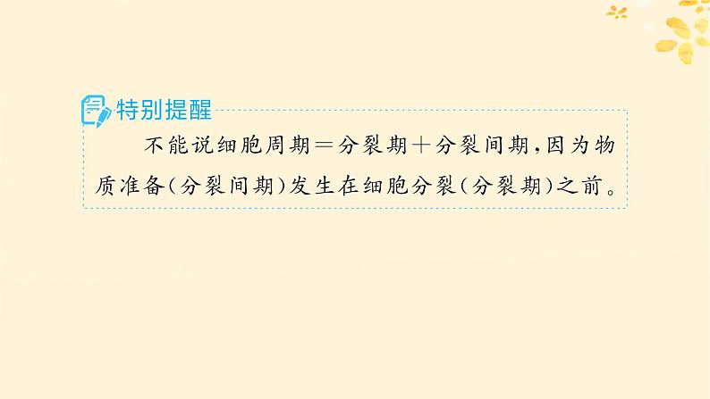 备战2025届新高考生物一轮总复习第4单元细胞的生命历程第16讲细胞的增殖课件06